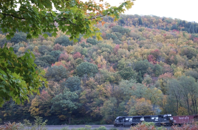 Is Horseshoe Curve Worth Visiting? An Honest Traveler's Guide