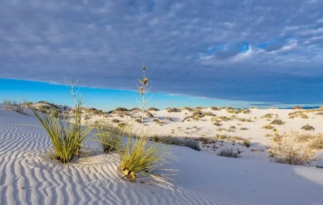 New Mexico parks guide