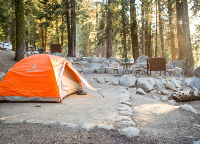 best campgrounds Sequoia