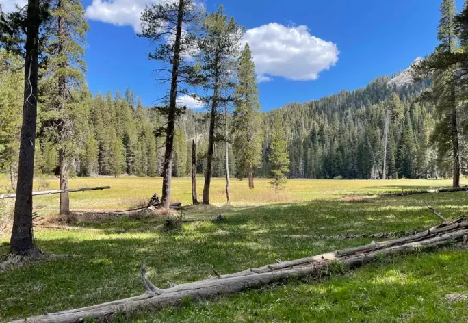 best campgrounds Sequoia