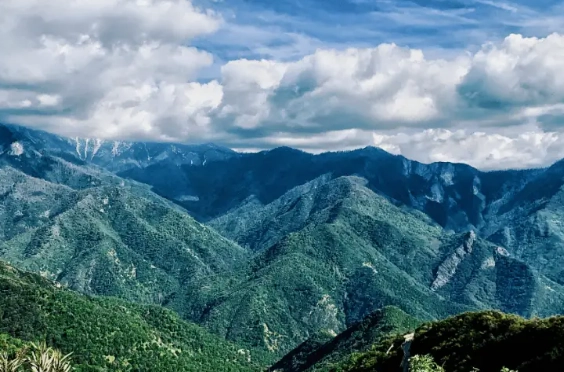 best time to visit Sequoia best time to visit Sequoia