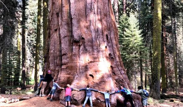 visit Sequoia without reservation visit Sequoia without reservation