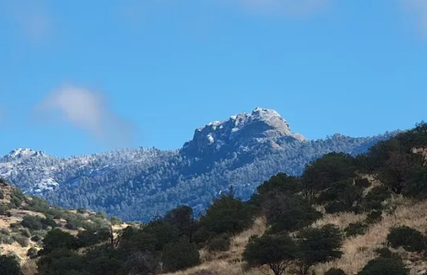 hiking in Saguaro National Park