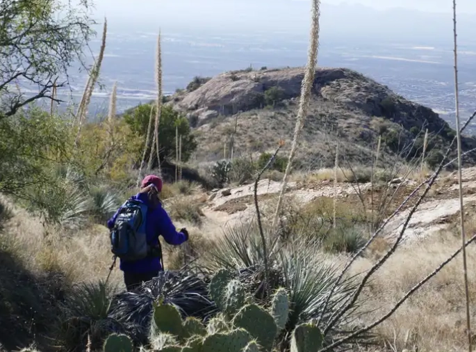 Douglas Spring Trailhead Camping: Your Complete Guide to Backpacking & Hiking