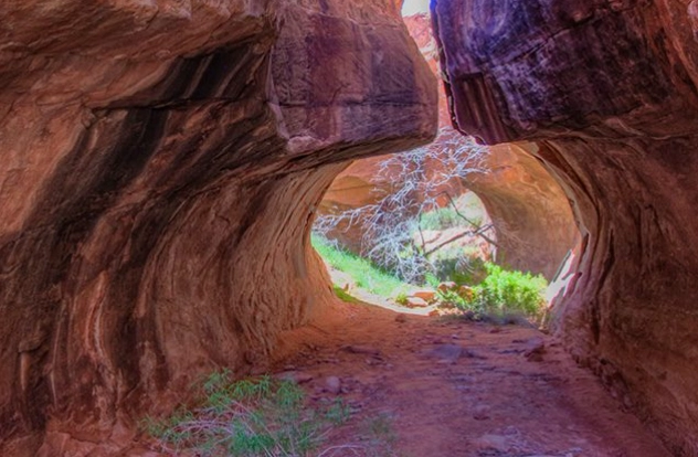 How Are Slot Canyons Formed? The Complete Guide to Nature's Narrow Wonders