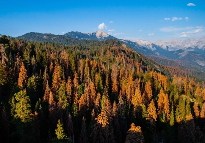 visit Sequoia without reservation visit Sequoia without reservation