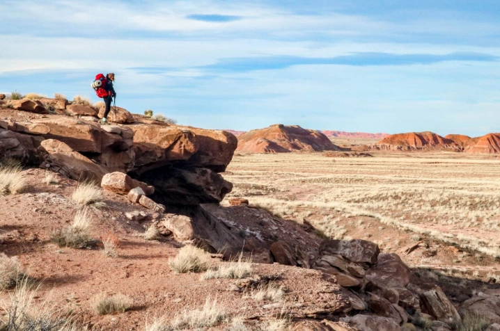 Petrified Forest National Park camping