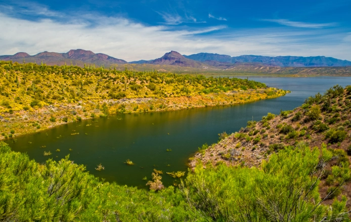 Theodore Roosevelt Lake: The Complete Guide to Arizona's Desert Oasis