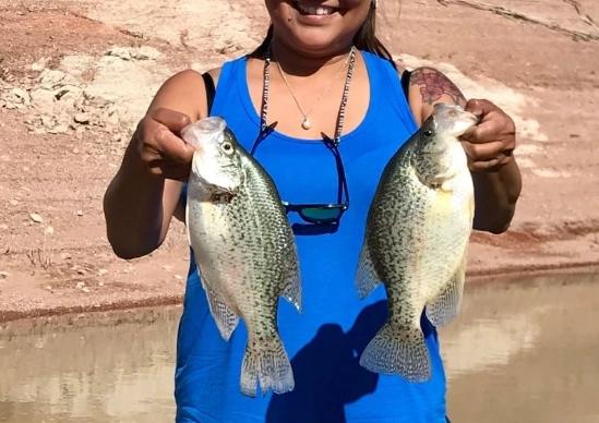 San Carlos Lake fish species