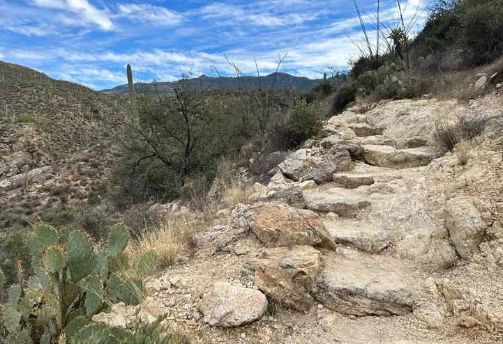 Spruce Flats Falls hike