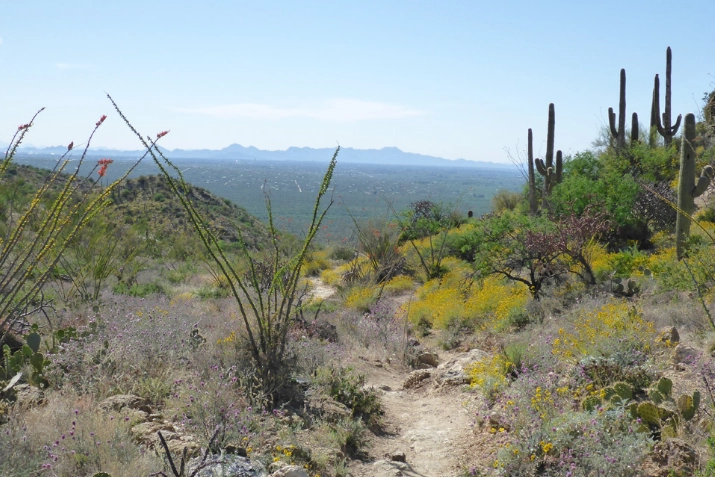Douglas Spring Trail hike