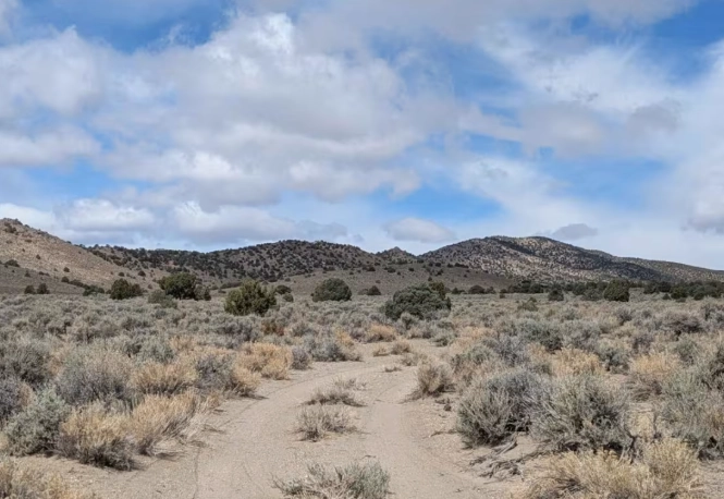 Saguaro National Park hiking