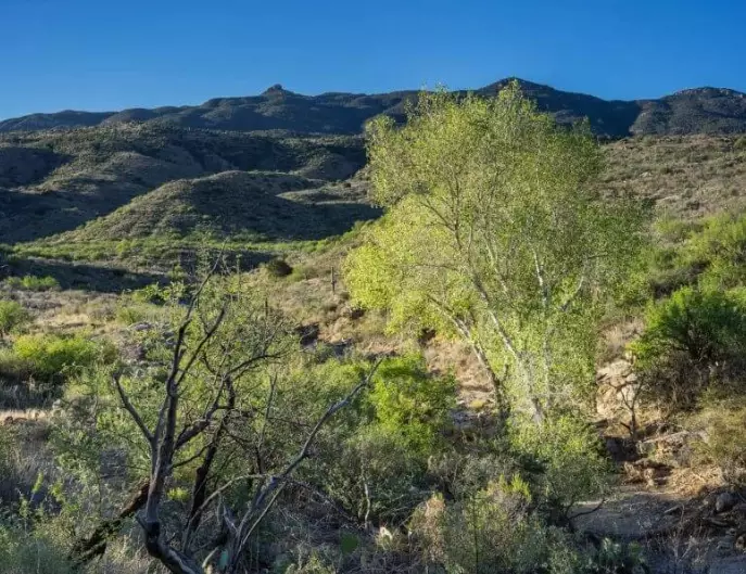 Douglas Spring Trail hike