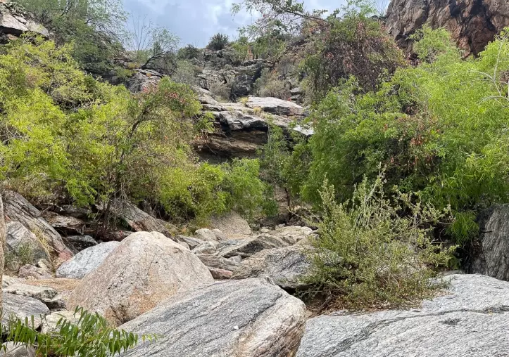 Great Smoky Mountains waterfall trails