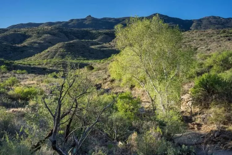 Douglas Spring Trailhead difficulty