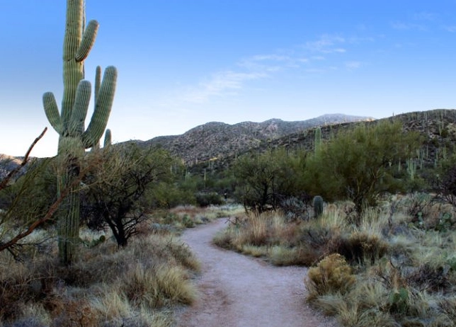 Great Smoky Mountains waterfall trails