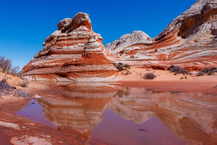 drive through Vermilion Cliffs National Monument