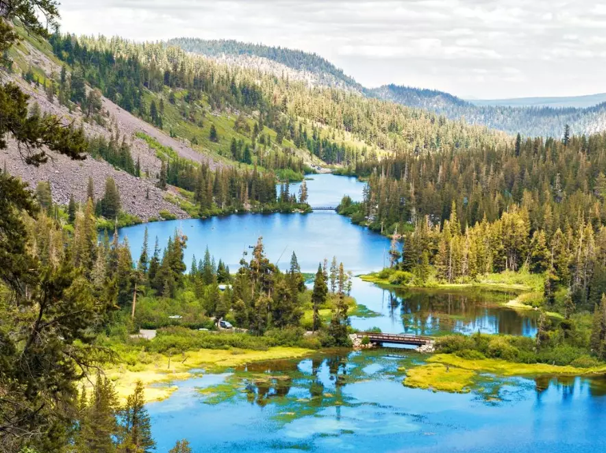 Northern California redwoods