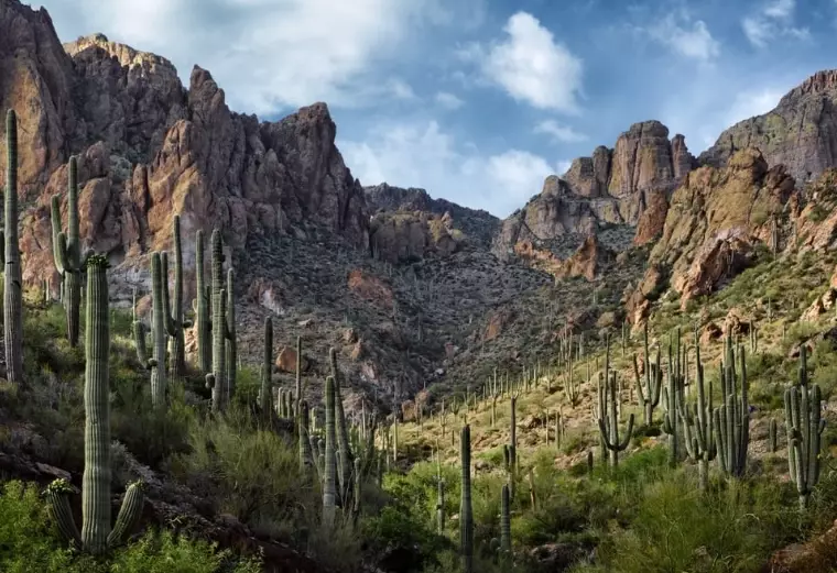 Where is Tonto National Forest