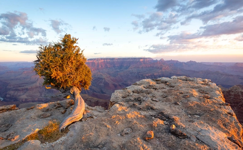 Lipan Point Grand Canyon Lipan Point Grand Canyon