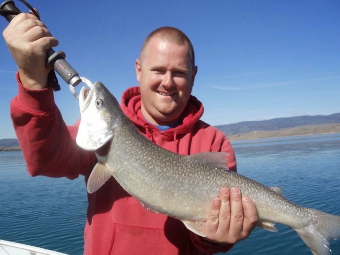 bear lake cutthroat trout