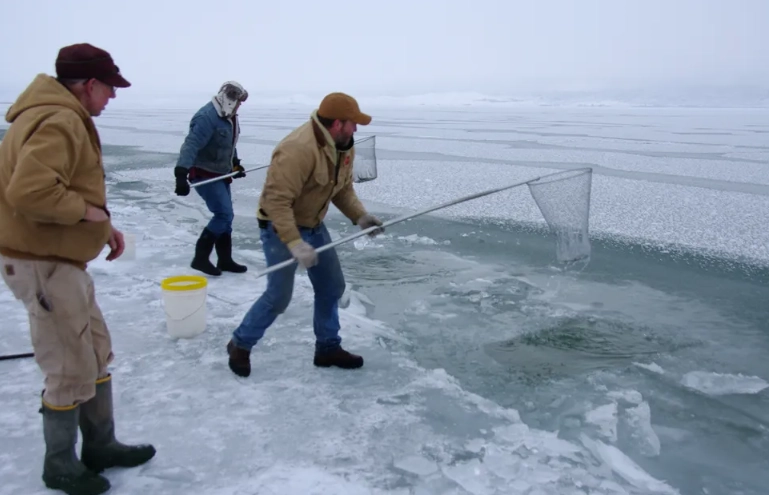 bear lake fishing guide