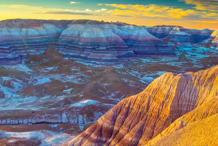 Petrified Forest National Park