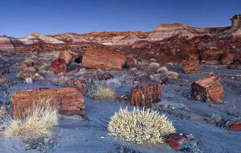 Painted Desert National Park tours