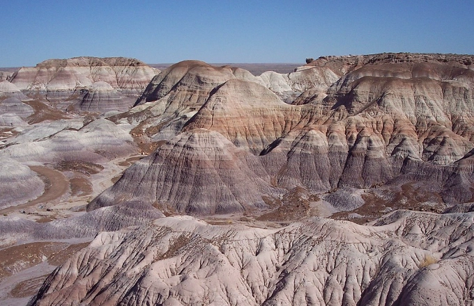 Petrified Forest National Park