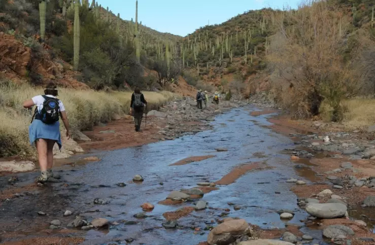 Tonto National Forest hiking
