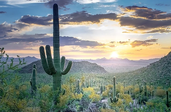 four deserts of north america four deserts of north america