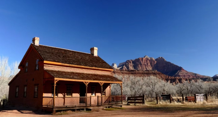 Grafton Jacaranda Festival