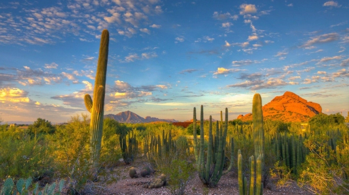 Arizona desert attractions