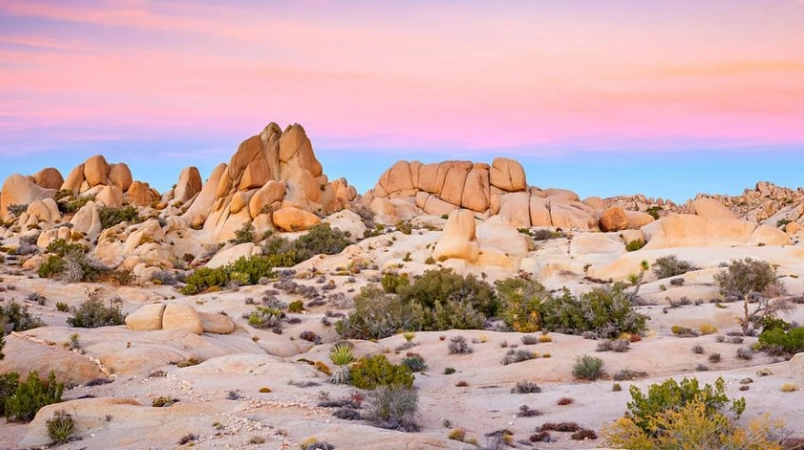 american deserts map