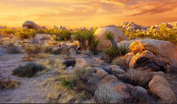 north american deserts map north american deserts map