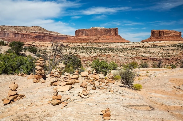chihuahuan desert chihuahuan desert