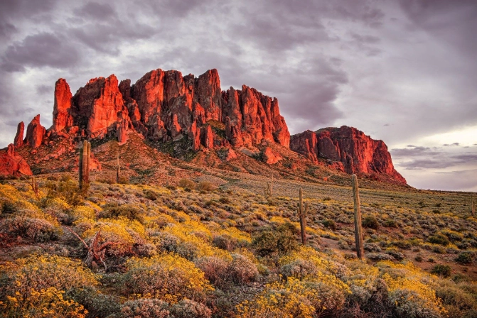 Desert states arizona