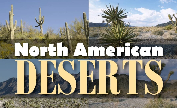 What are the 4 deserts in North America?