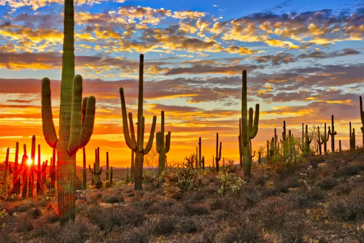Arizona New Mexico Climate