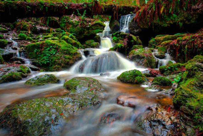 Redwood National Park waterfalls