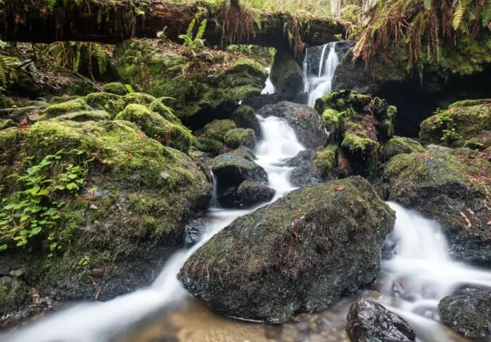 Redwood National Park waterfalls