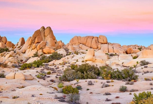 desert states usa desert states usa