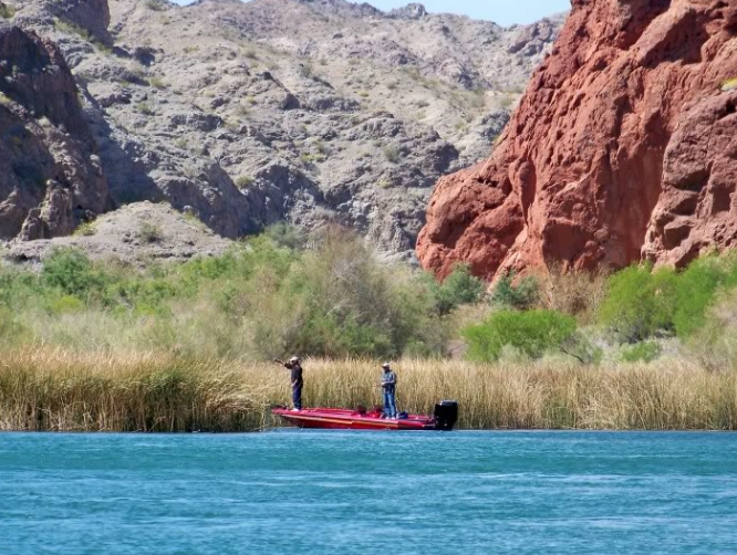Lake Havasu City fishing report Lake Havasu City fishing report