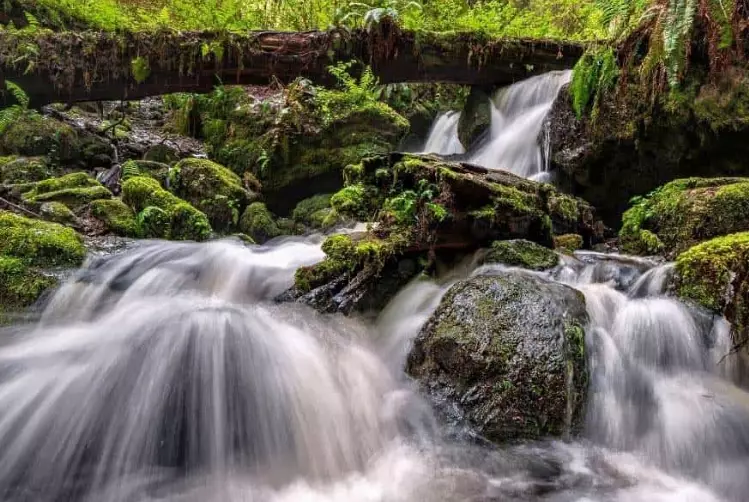 is Trillium Falls worth visiting