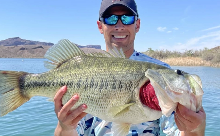 Lake Havasu City fishing report Lake Havasu City fishing report