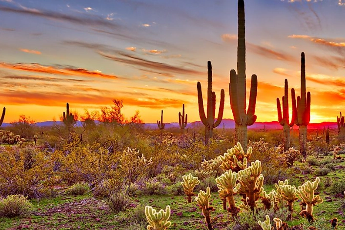 best desert national parks best desert national parks