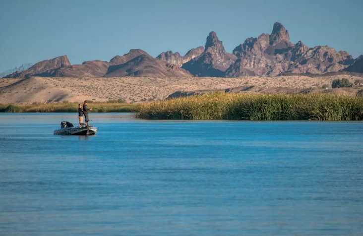 best fishing Lake Havasu best fishing Lake Havasu