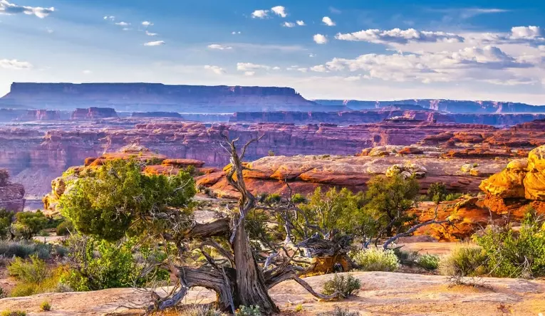 southwest usa geography