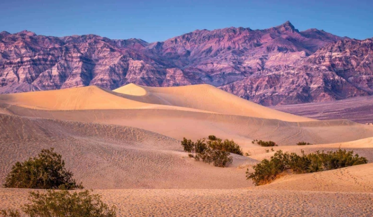 desert states usa desert states usa