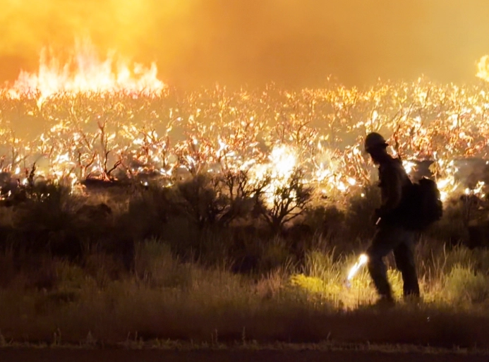White Rock Mountains slot canyon